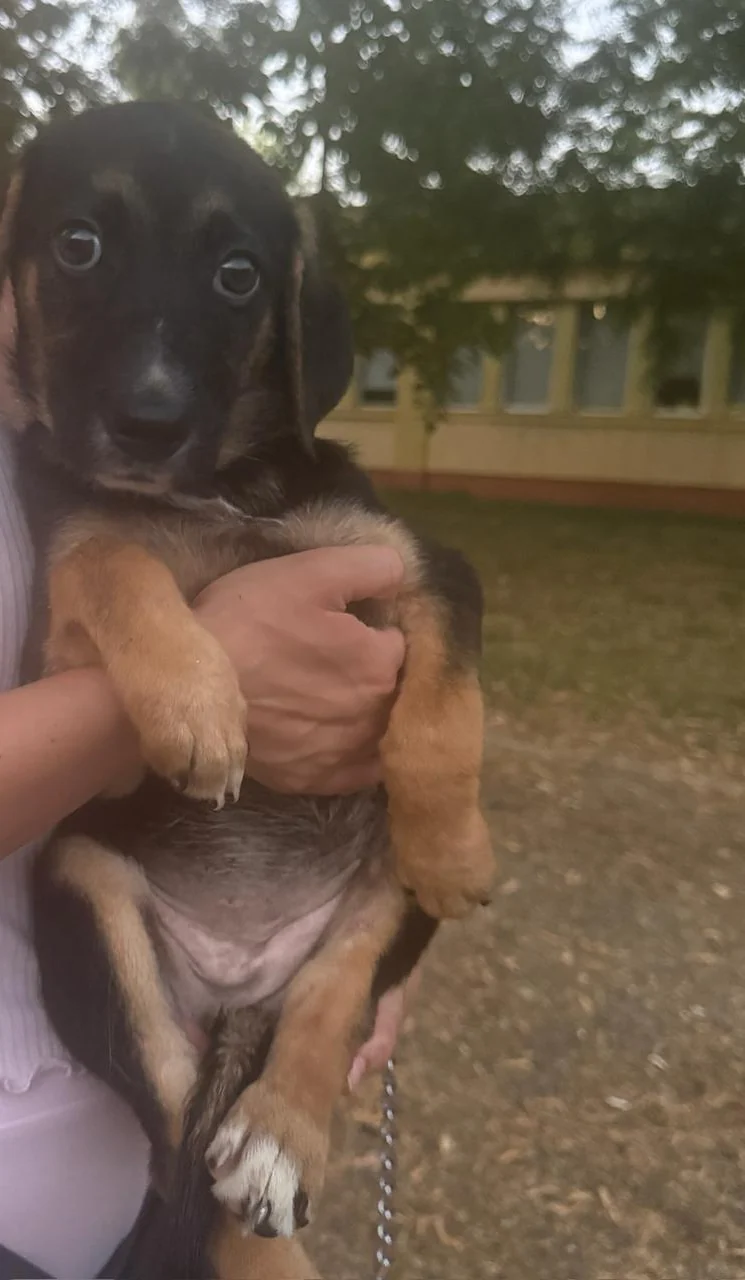 Lotte este ținută în siguranță în timpul fotografiei